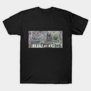 An Alligator Laying in Wait T-Shirt